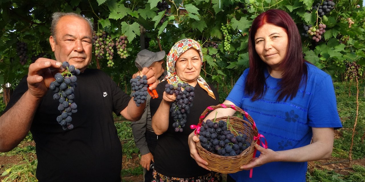 O şehrin siyah incisi; kilosu tam 250 lira