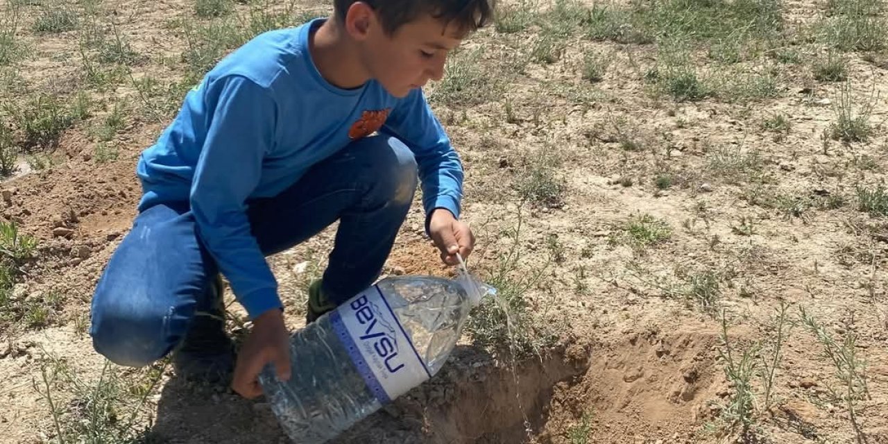 Türkiye'nin tek çölüne 110 fidan dikildi