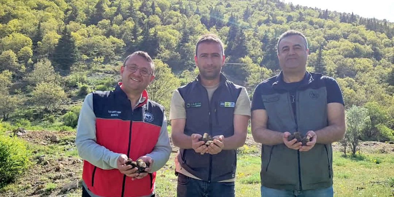 Konya Bozkır'da Kuzu Göbeği'ne bilimsel ilgi