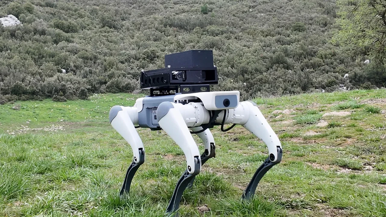 Konya'daki bu konumu robotlar ele geçirdi. Yüzlerce yarışmacı var