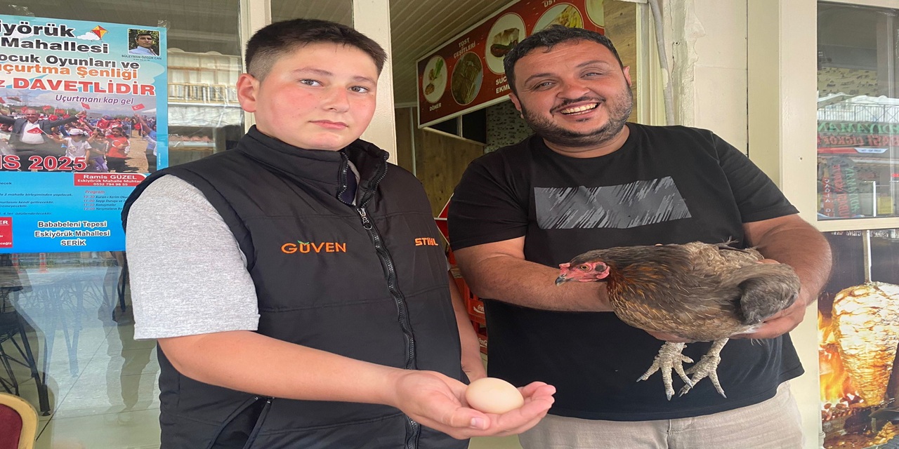 Gezen tavuğu yumurtladığı yer cesaretiyle herkese 'pes' dedirtti