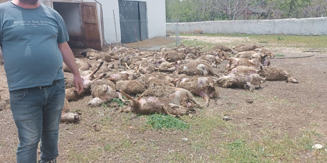 Bu korkunç görüntünün sebebini tahmin edemezsiniz!
