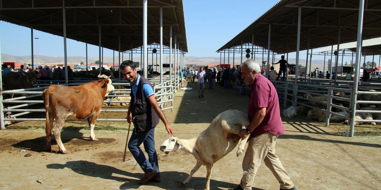 Konya'nın en çok tercih edilen pazarı barınak oldu. Sadece küçükbaş bulunacak