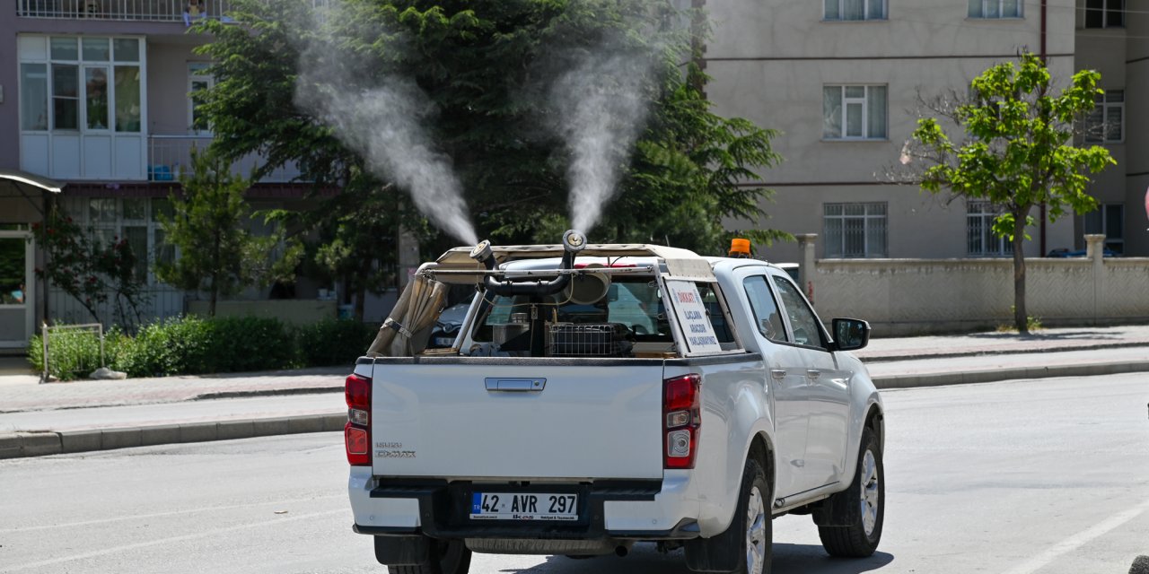 Selçuklu’da ilaçlama çalışmaları başladı