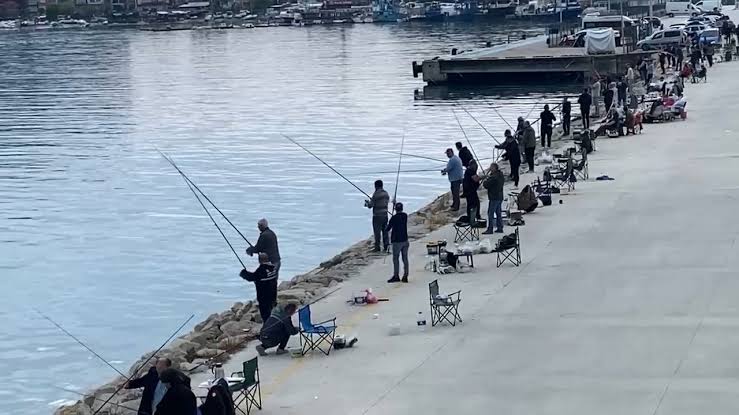 Balık sürüsü kıyıda şov yaptı. Duyan sahile akın etti