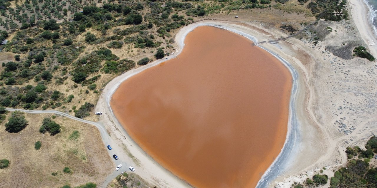 Hem kalp şeklinde hem de pembe... Görenleri mest ediyor