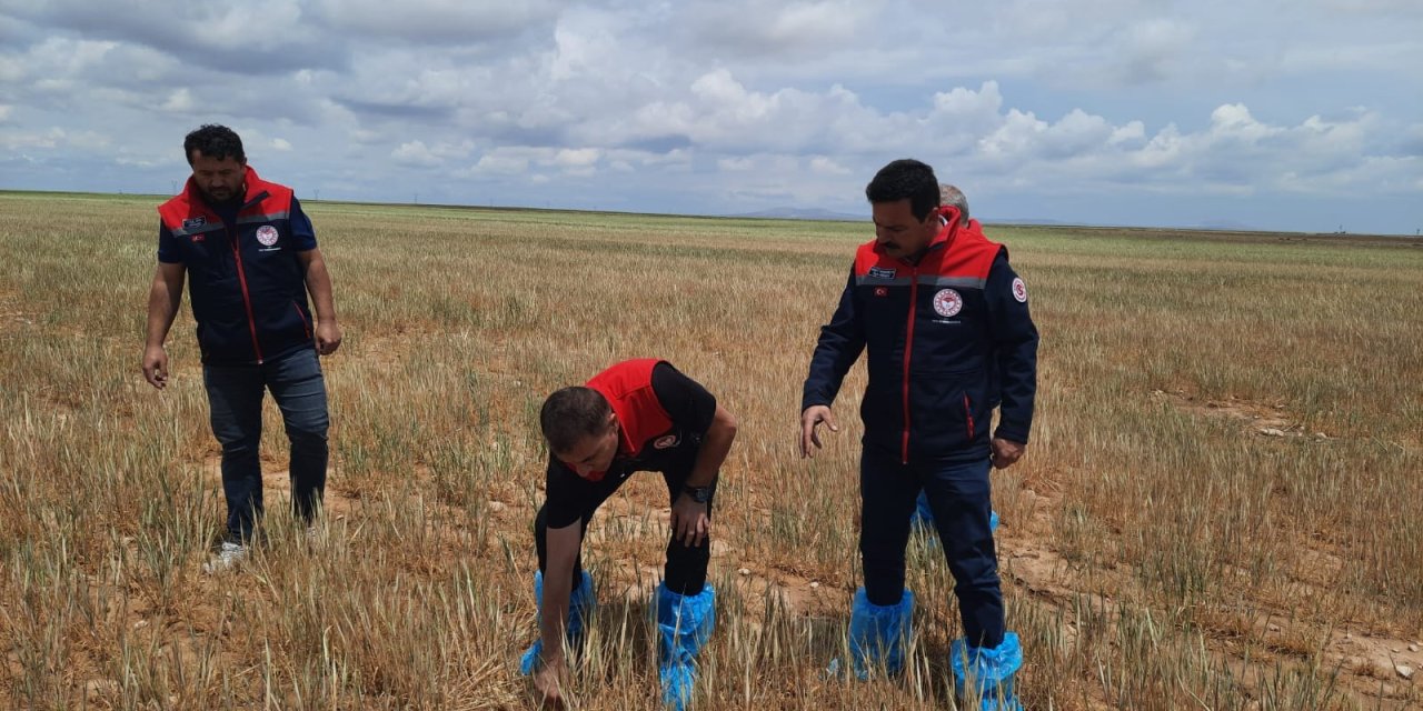 Konya’da üst düzey yönetici çizme galoşunu giyip arazi teftişine çıktı