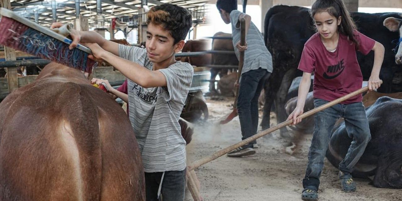 Biri 12, diğeri 8 yaşında: Kurban pazarı oyun alanları oldu