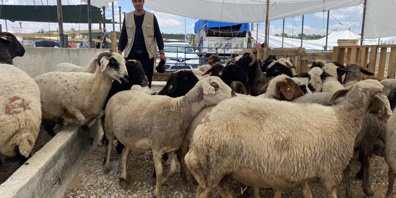 Konya'da kurban pazarı beklentilerin gerisinde. Vatandaş sadece fiyat soruyor
