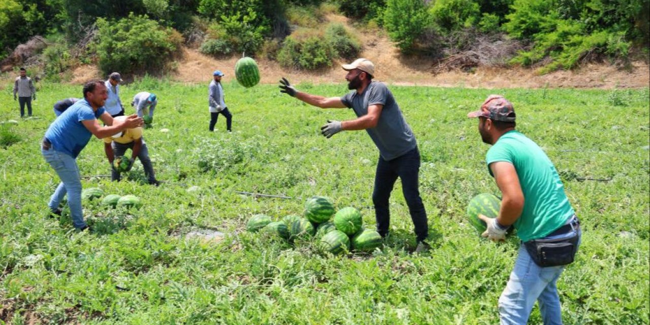 Ucuza yemek için acele edin, sadece 1 hafta sürecek