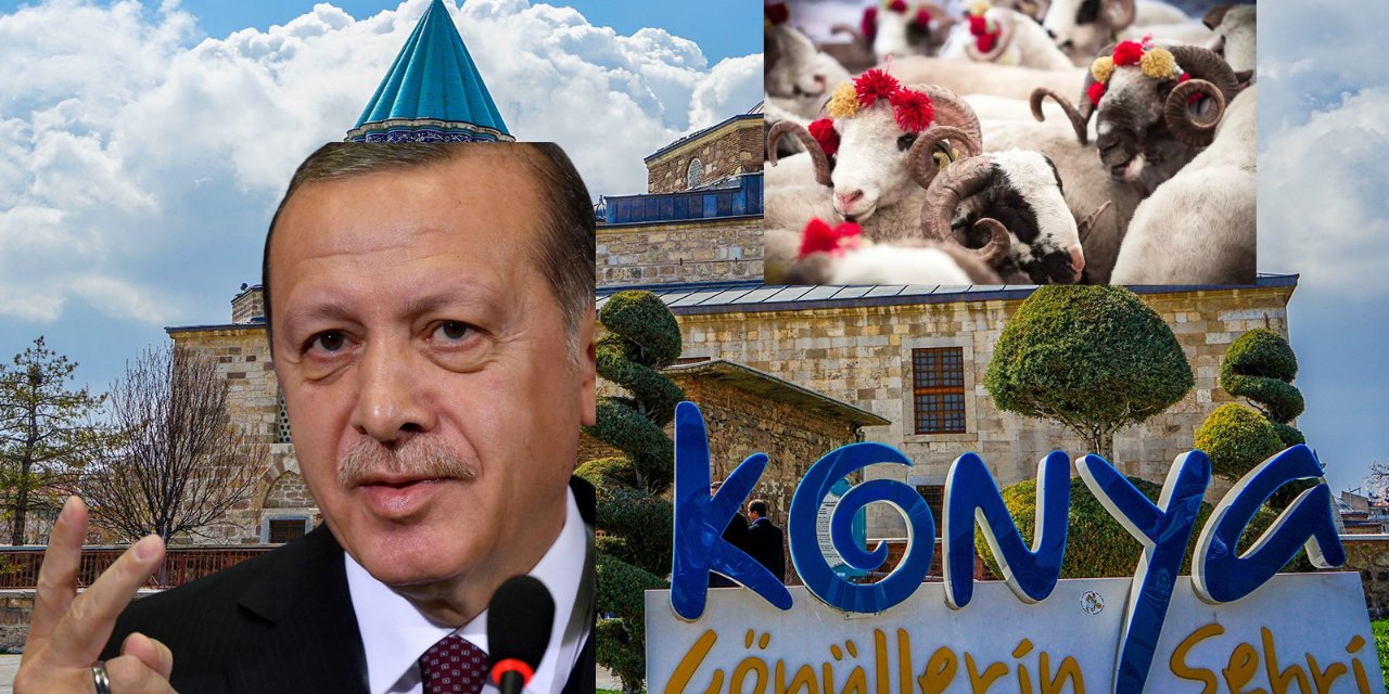 Cumhurbaşkanı Recep Tayyip Erdoğan'ın kurbandaki tercihi Konya oldu