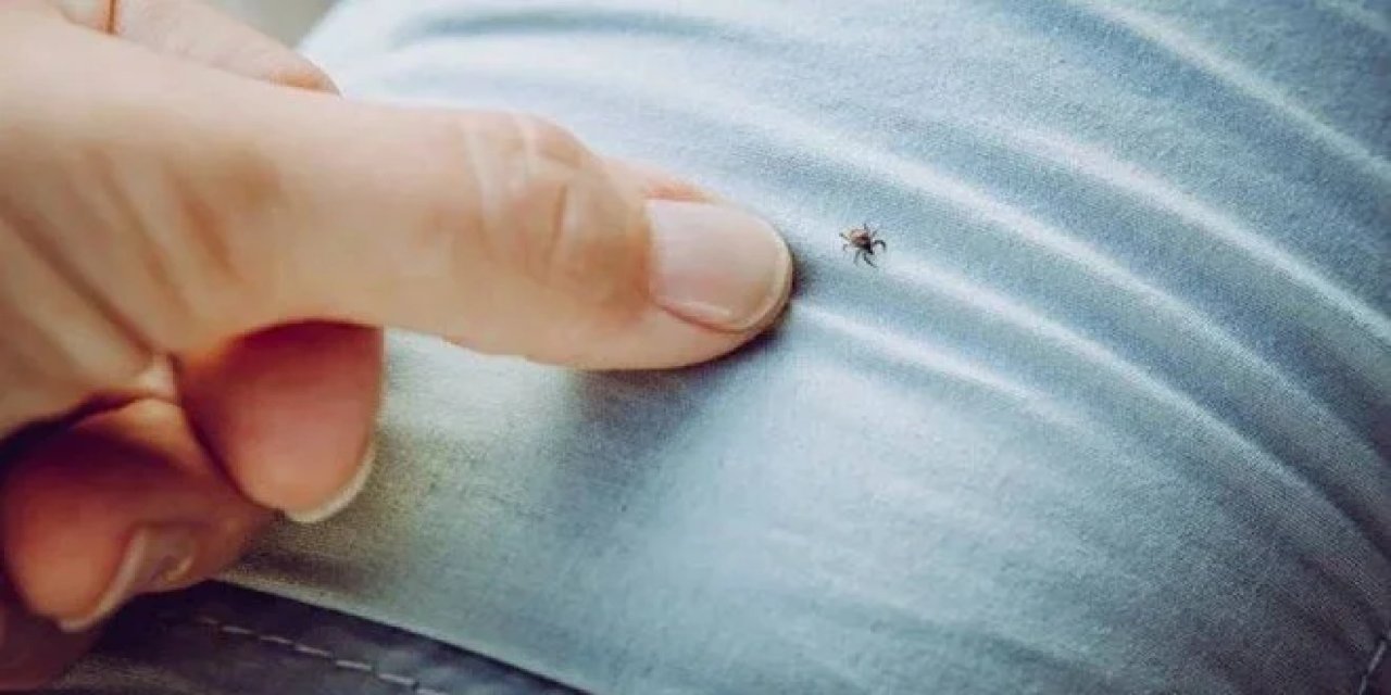 Kene kabusunda artış var: 6 can kaybı
