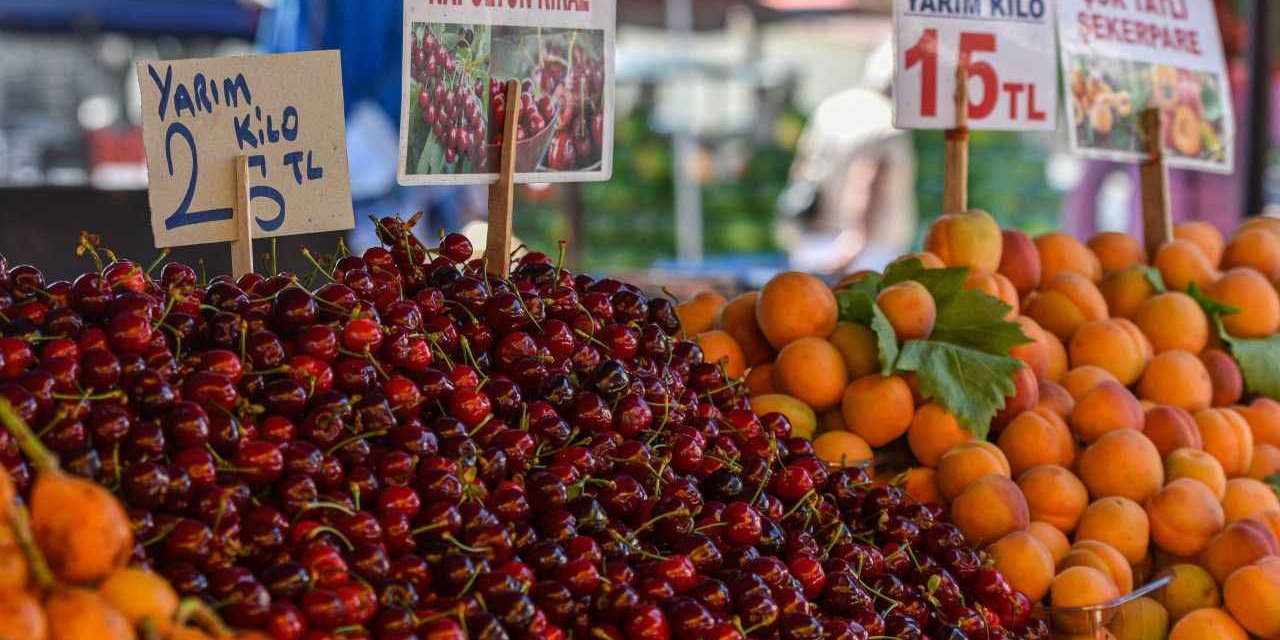 Bu meyvede geçtiğimiz sene Türkiye dünya birincisiydi. Artık kimse yanına yaklaşamayacak