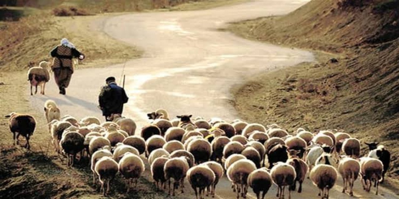 Konya ve çevre iller 100 bin lira maaşa personel bulamıyor. İşletmeler kapanıyor