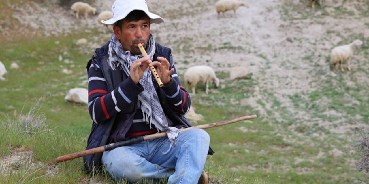 Türkiye'de çobanlık kriterleri yeniden belirlendi