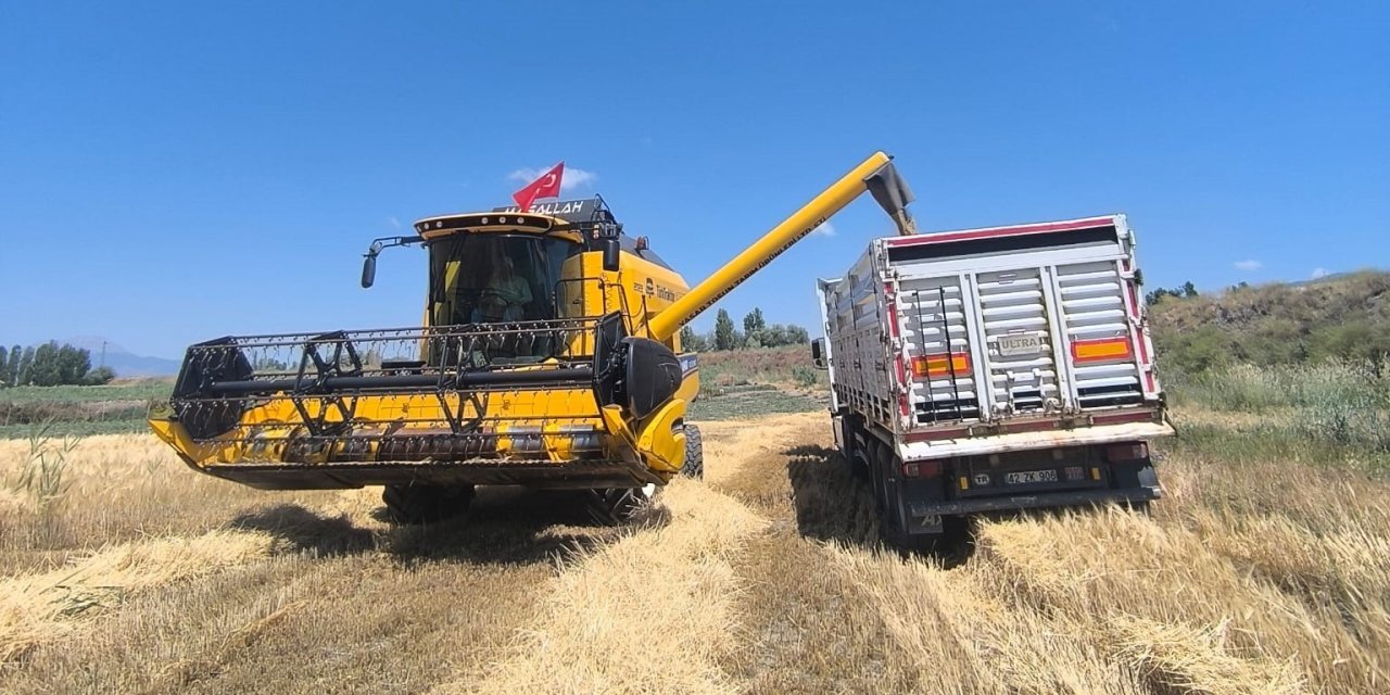 Türkiye'nin hububat deposunda hasat heyecanı başladı. Arpa ve buğdayda yüksek verim bekleniyor