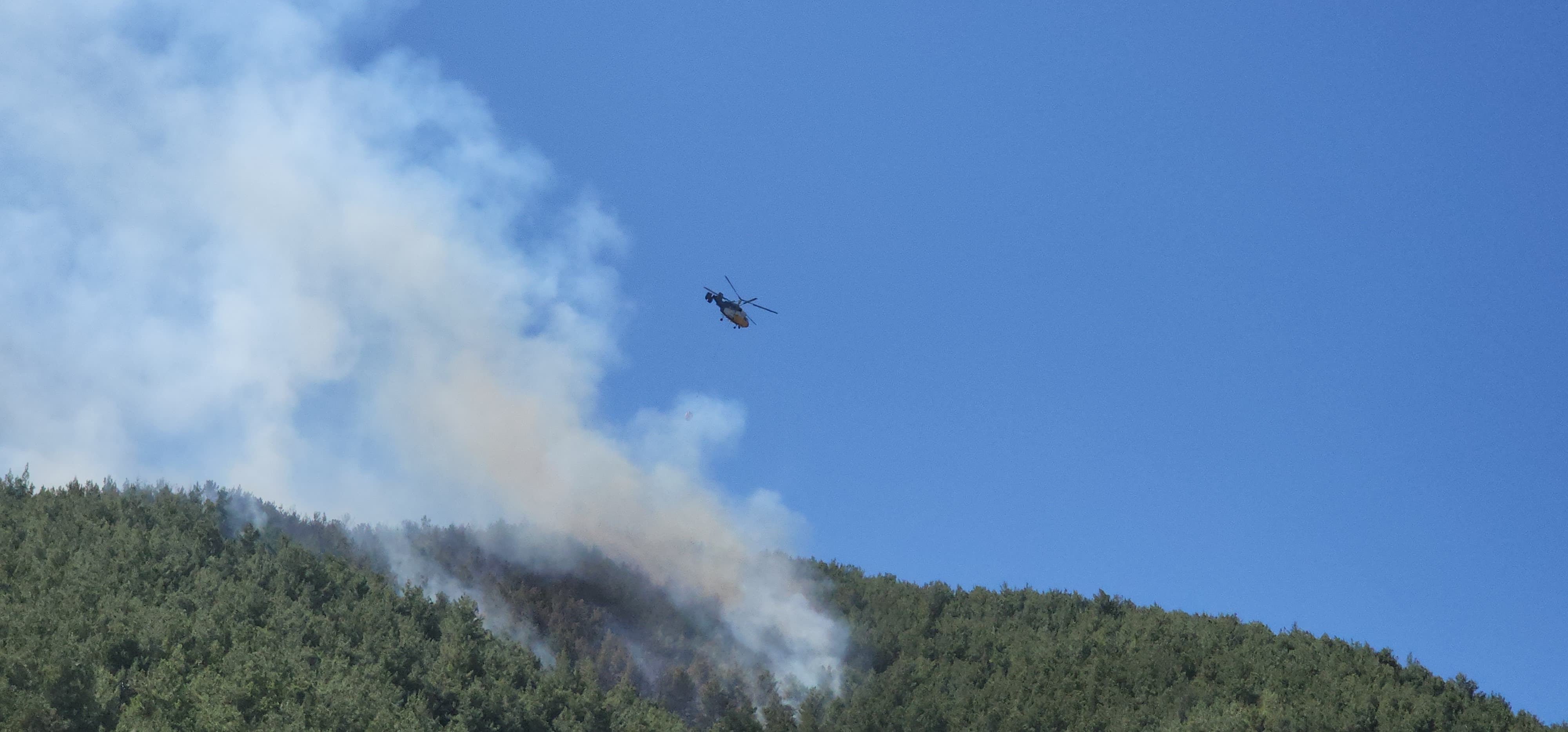 Hatay'da orman yangına havadan müdahale edildi
