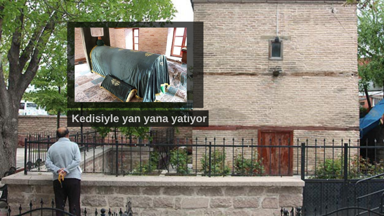 Konya’daki bu veli türbesini 769 yıldır kedisiyle paylaşıyor: Ölümü göze alan sadakatin hikayesi