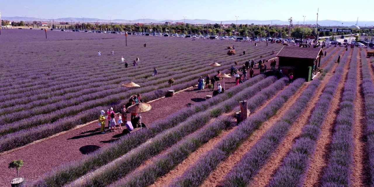 Konya'nın morlar içerisindeki bahçesine fotoğraf tutkunları akın ediyor. Eşsiz kokusu var