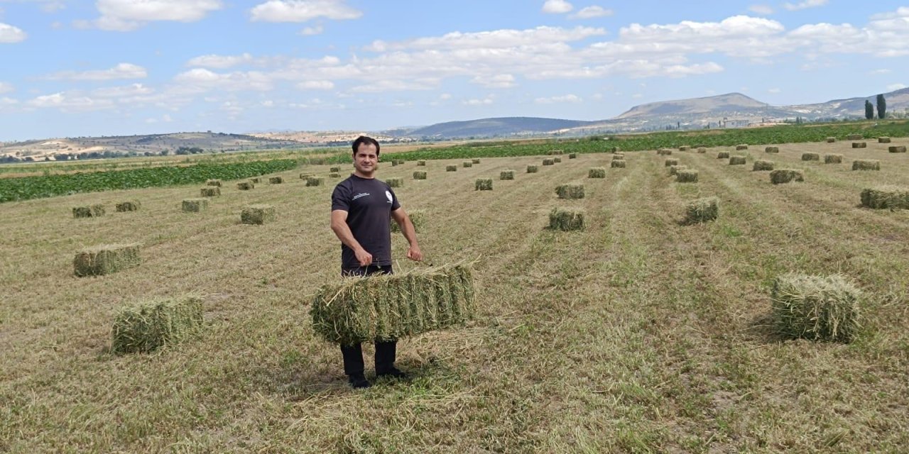 Üretimine hibeyle başladılar, yem bitkilerinde hasat heyecanı