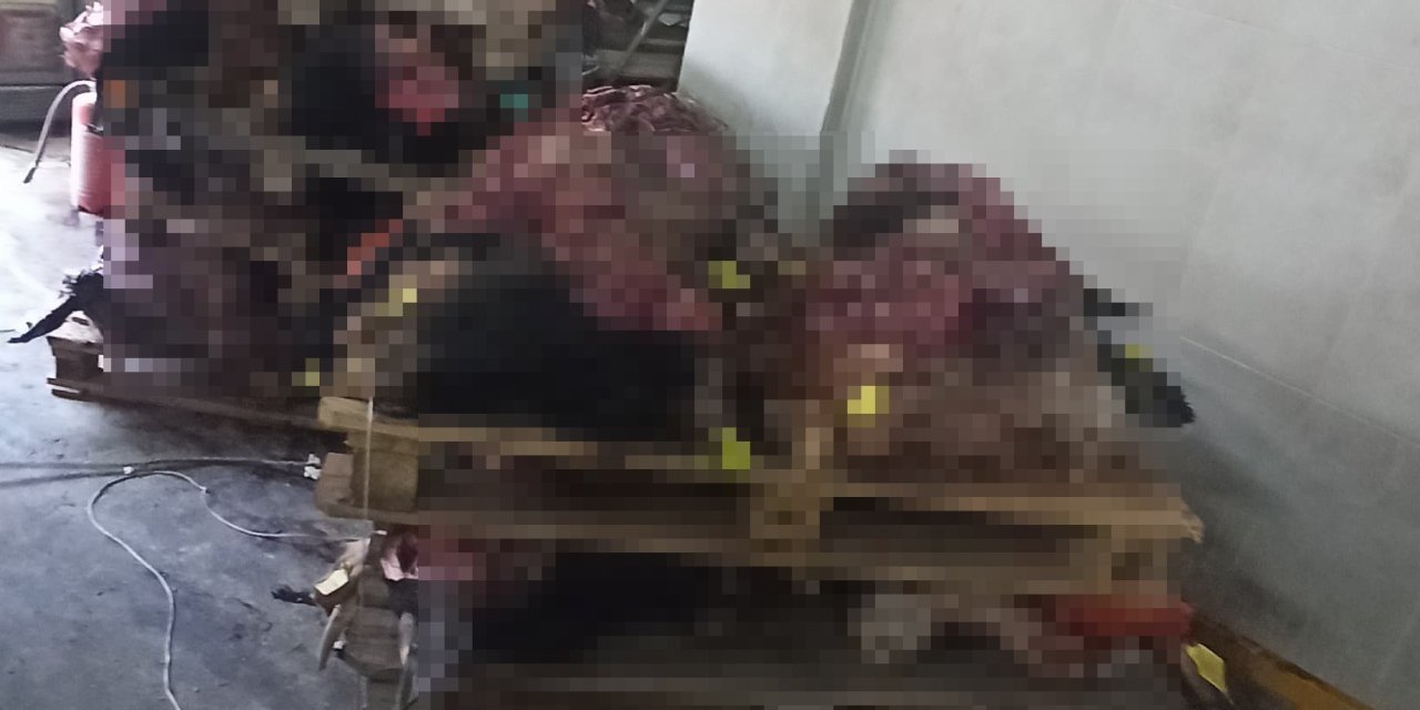 Korkunç manzara: Yüzlerce hayvan kafası bulundu