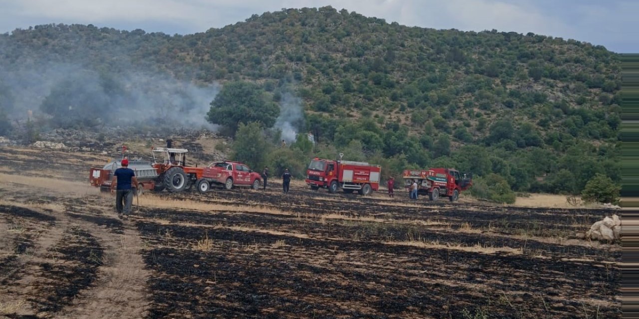 Anız yangınları Konya'nın ormanlarını tehdit ediyor