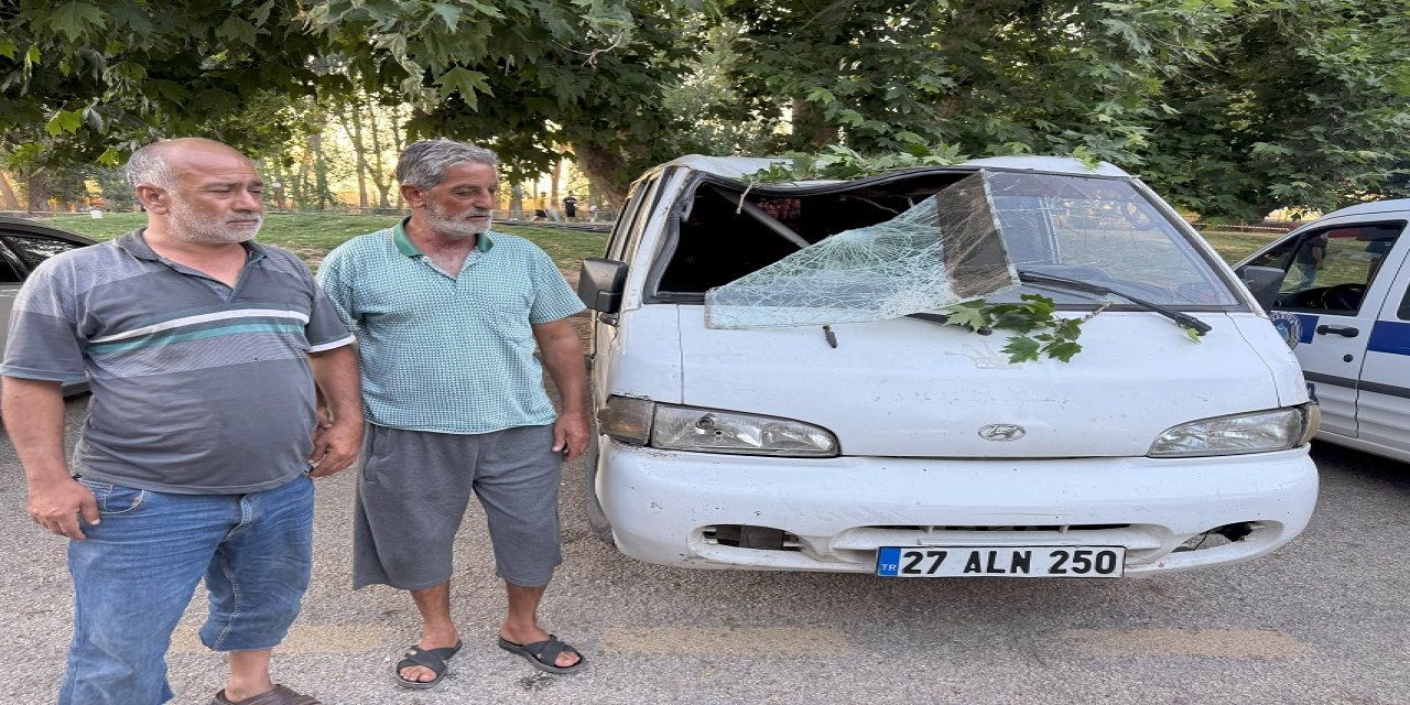 Konya'da piknik alanında facia: Dev gibi ağaç dalı piknik yapanların üzerine devrildi