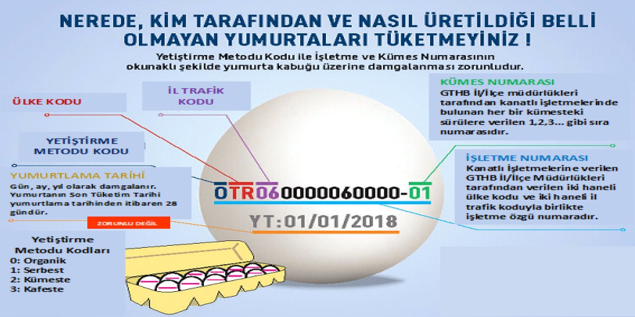 Yumurtanın üzerindeki kodlar ne anlama geliyor? Yumurta deyip geçme