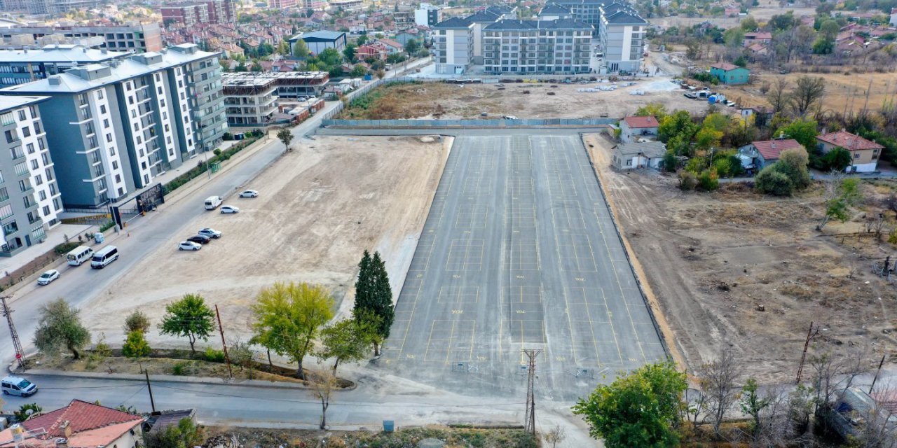 Konya'nın bu ilçesinde bin adet sokak köpeği toplanacak. Belediye düğmeye bastı