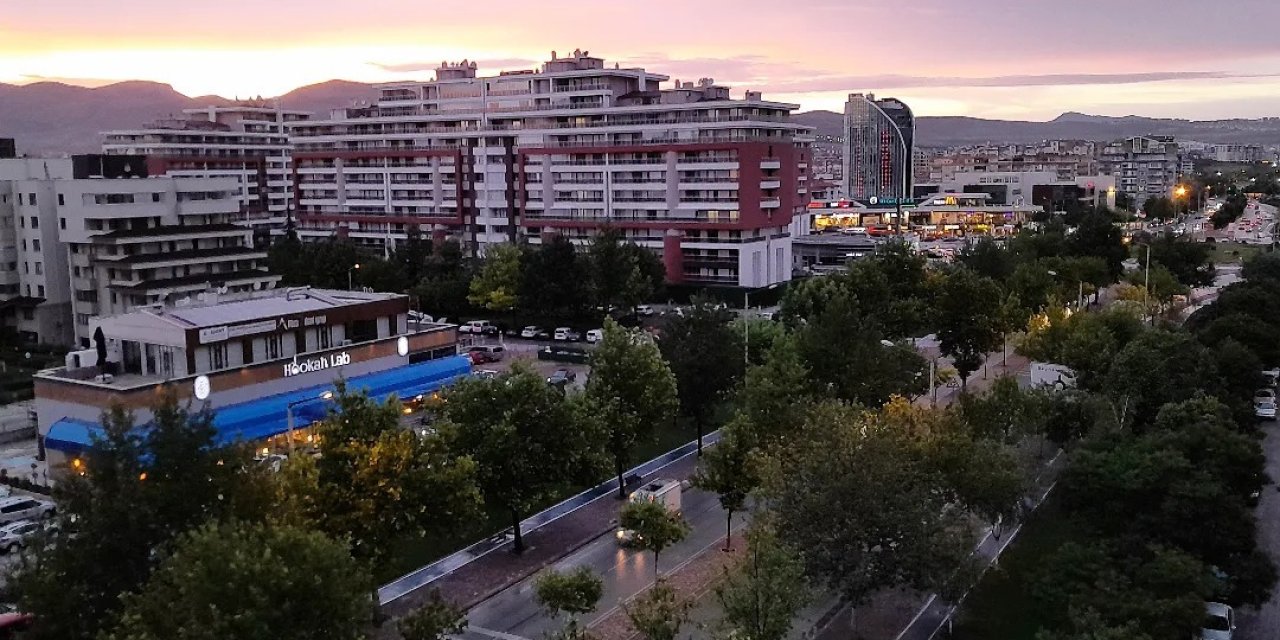 Konya’nın en yeşil caddesinde yüzlerce ağaç yerinden taşınacak. Büyük projenin parçası