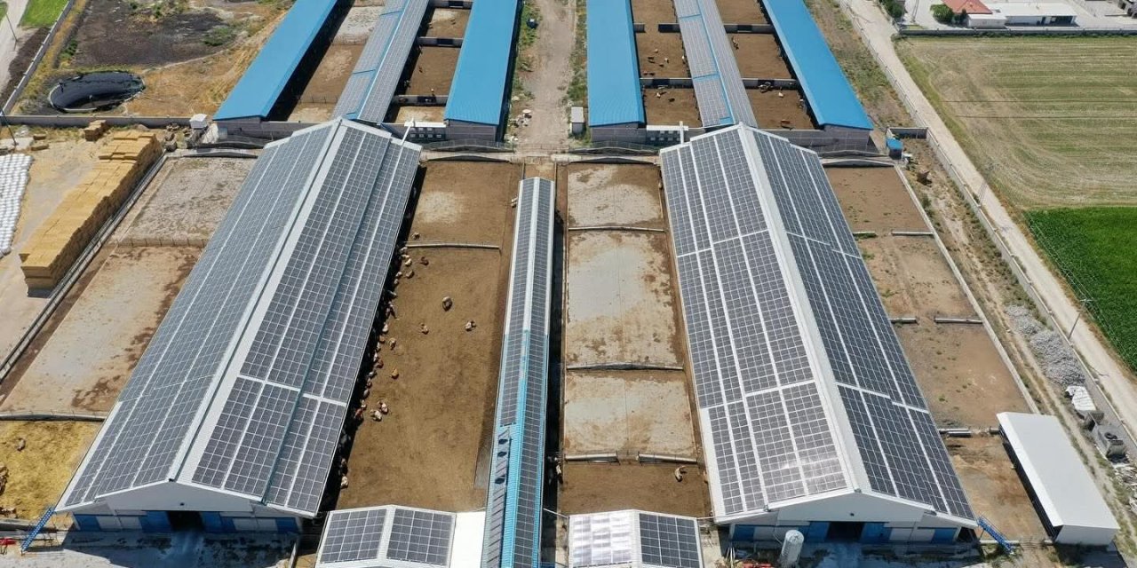 Konya'daki dev çiftlikten enerji yatırımı. Elektrik ihtiyacının tamamını güneşten karşılayacak