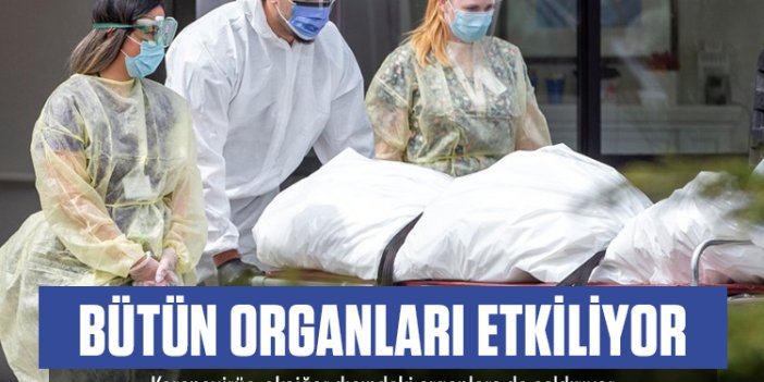 Koronavirüs, akciğer dışındaki organlara da saldırıyor