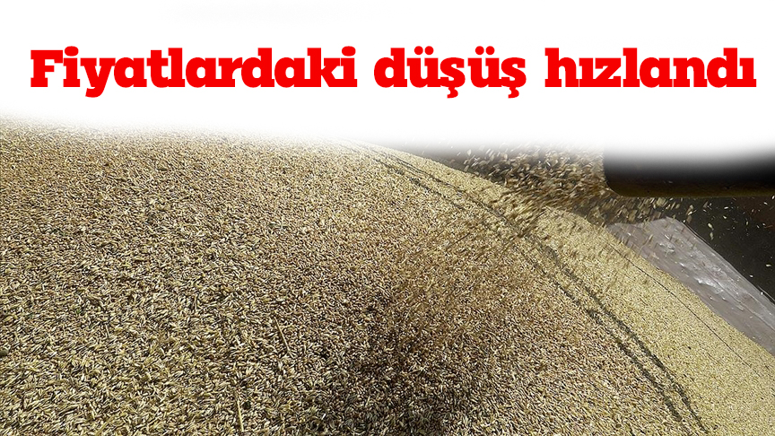 Fiyatlardaki düşüş hızlandı