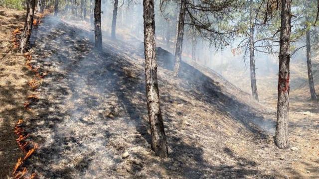 PKK’nın talimatıyla Antalya’da orman yakma hazırlığında olan şahıs kıskıvrak yakalandı