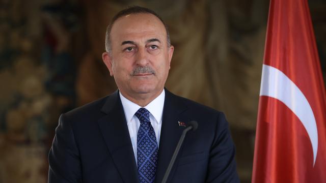 Dışişleri Bakanı Çavuşoğlu Slovenya’da