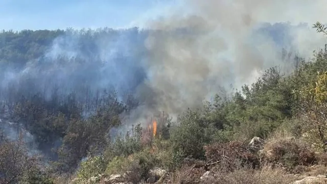 Mersin'de çıkan orman yangını kontrol altına alındı