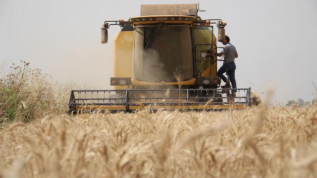 Avusturyalı çiftçi, arazisinin verimini Türkiye'deki mühendislerin desteğiyle artırıyor