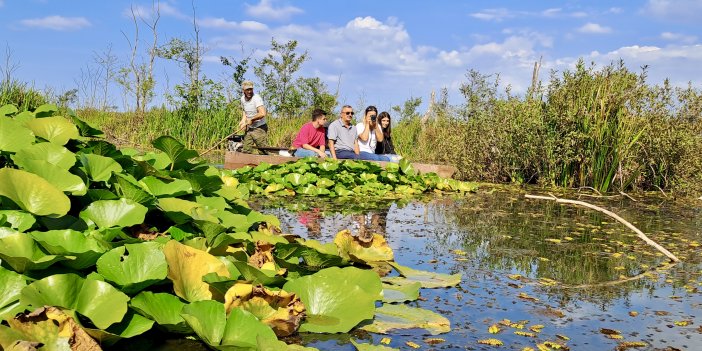 Acarlar Longozu'nun turizm destinasyonu genişletilecek