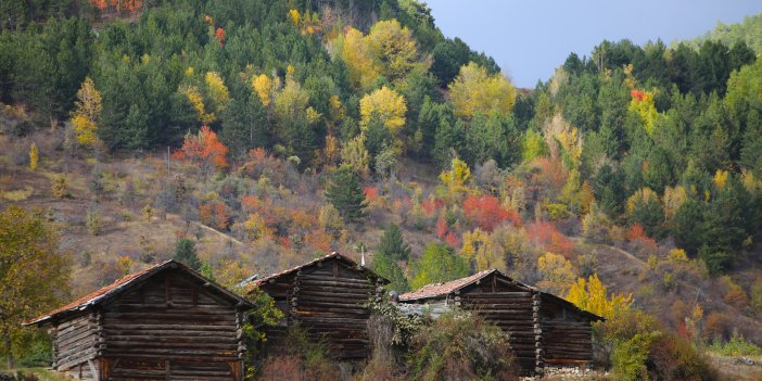 Ilgaz Dağı sonbaharda farklı renk tonlarıyla doğa tutkunlarını ağırlıyor