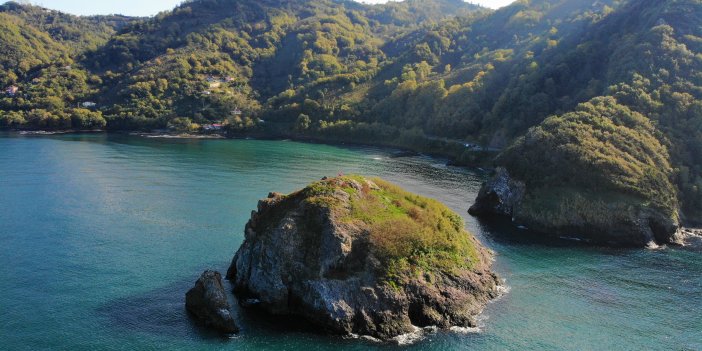 Kuş cenneti: Hoynat Adası