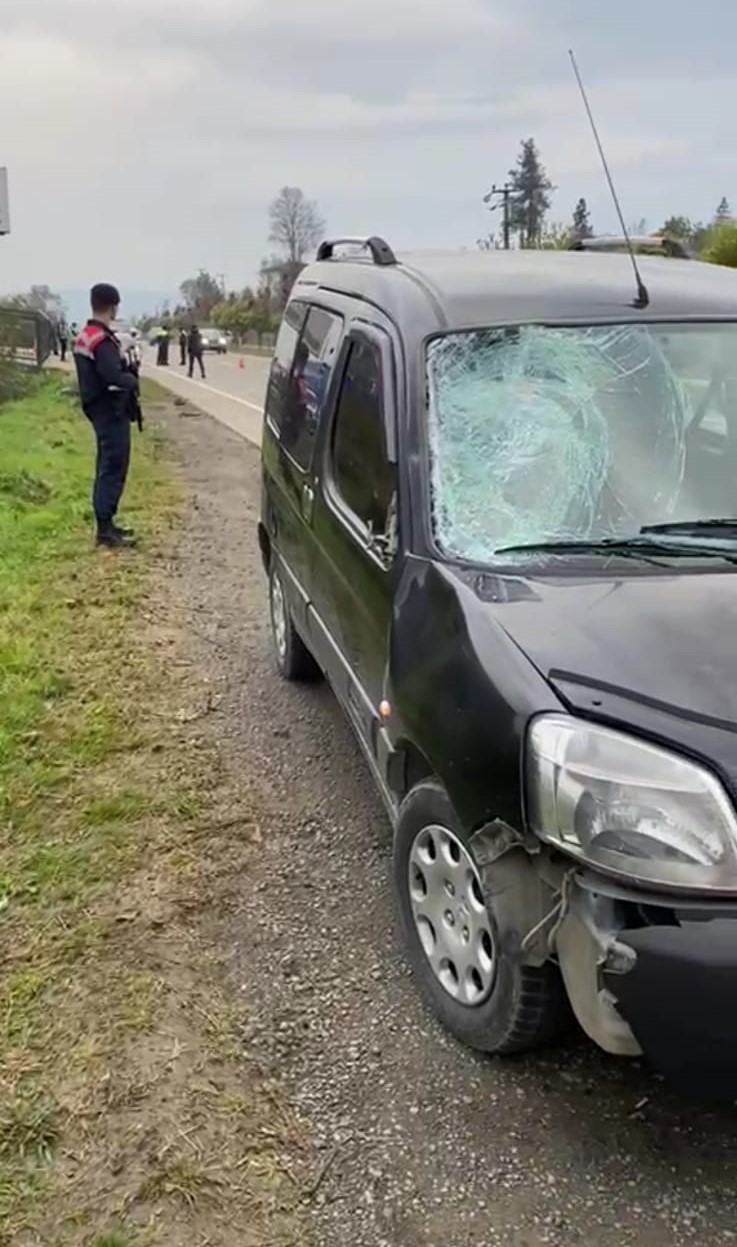 Köpeklerden kaçarken canından oldu