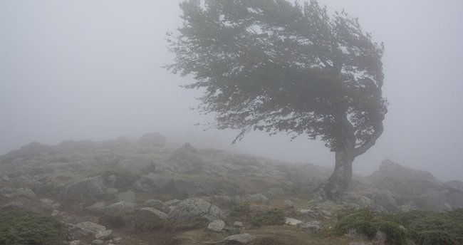 Meteoroloji uyardı: Kuvvetli rüzgara dikkat!