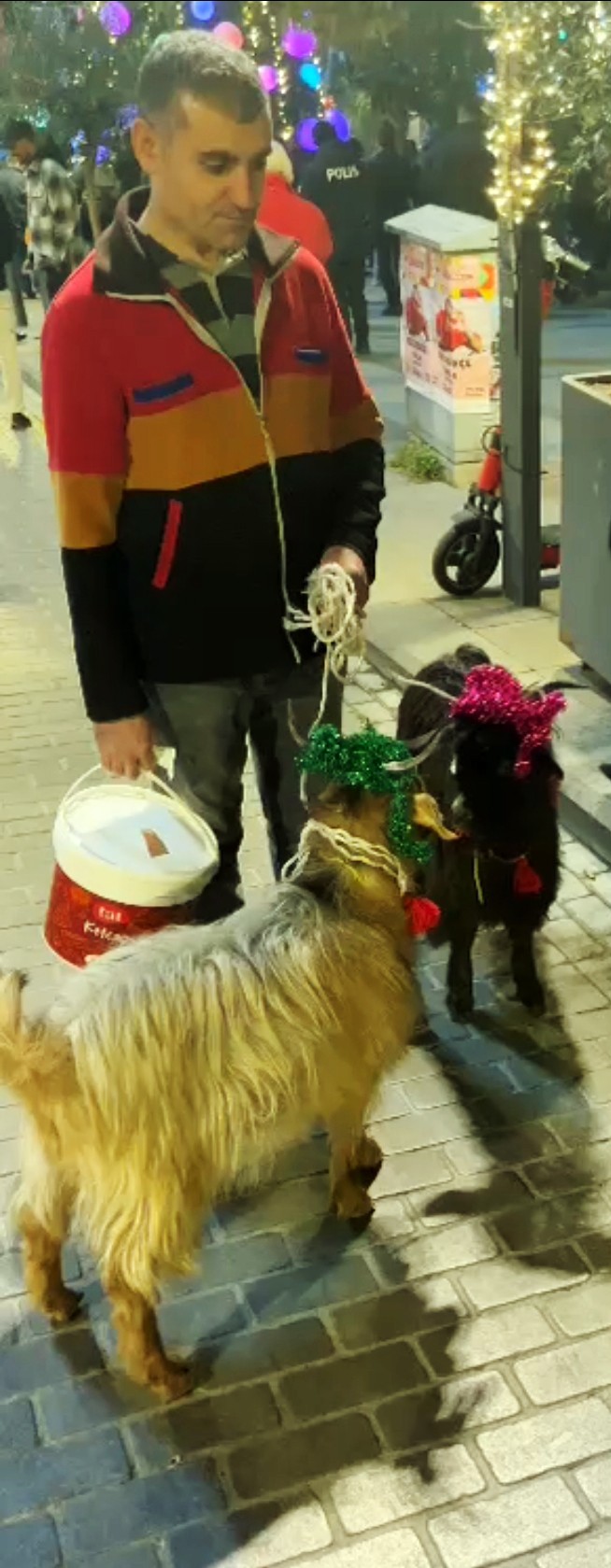 Nişantaşı'nda süslenmiş keçiler yılbaşı maskotu oldu