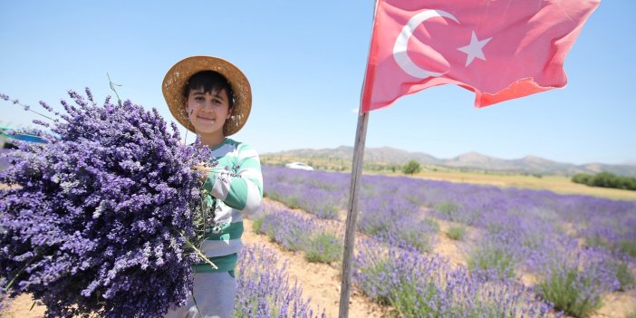 Konya Büyükşehir'den yeni marka:  LAVONYA