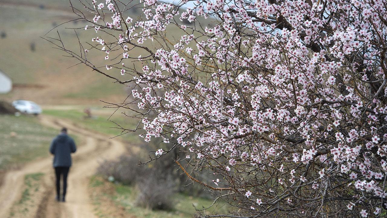 Konya'ya bahar mı geliyor?