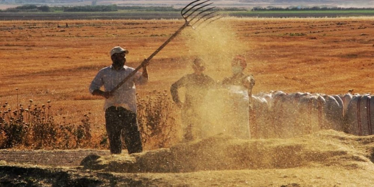 Tarımsal girdi fiyat endeksi bir yılda yüzde 112,41 arttı