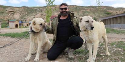 1965 yılında 3 Arkeolog Konya'dan İngiltere'ye hangi köpekleri götürdü? İşte o köpeklerin gizemi