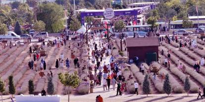 Artık tarım turistleri var: Konya tarım turizminin merkezi oldu