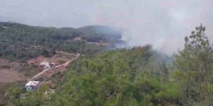 Hatay’da orman yangını