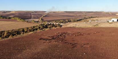 Dron gören masum kangal ne yapacağını şaşırdı